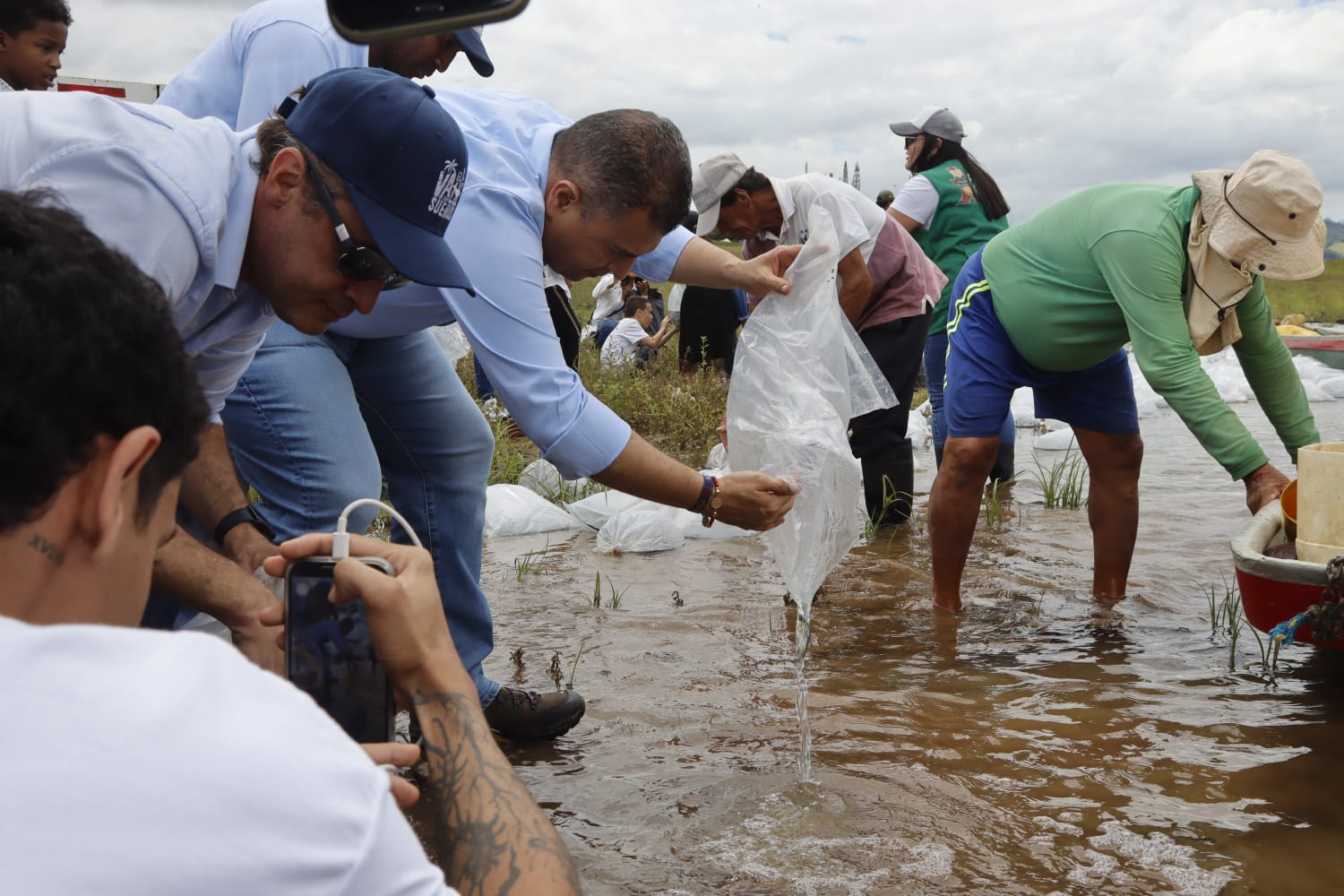 60 MIL ALEVINOS FUERON SEMBRADOS EN EL EMBALSE CALIMA