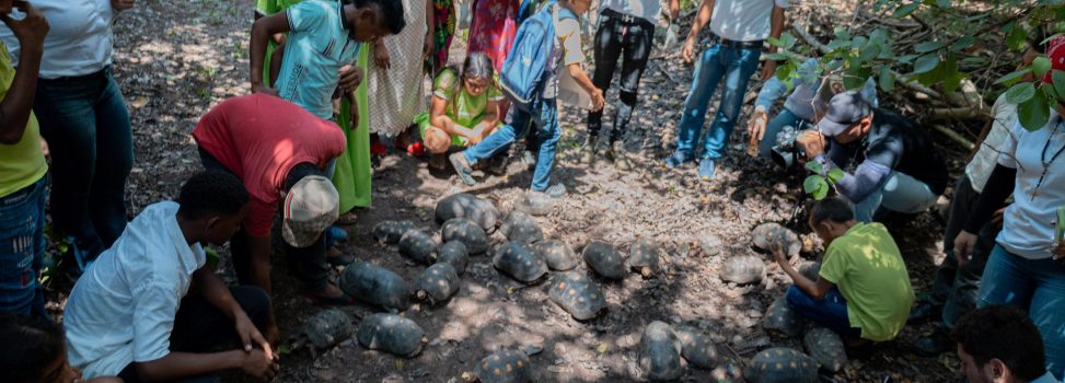 La Sostenibilidad Ambiental, un Compromiso de Todos