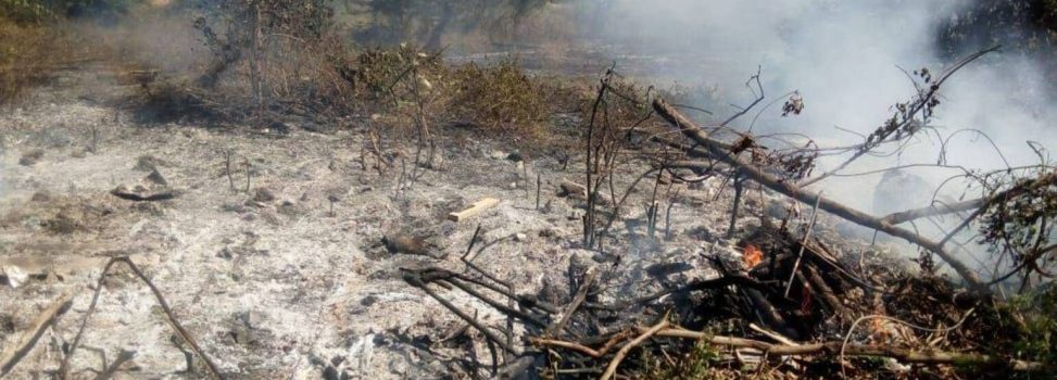 Corpoguajira advierte sobre riesgo de incendios forestales tras detectar 81 puntos de calor en el departamento.