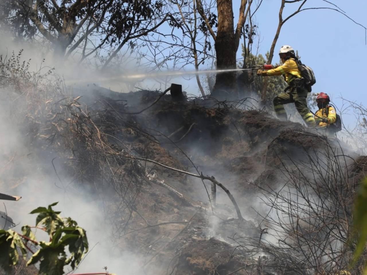 Sistema de Alertas Tempranas de Corpoguajiraadvierte sobre altas temperaturas y riesgo de incendios forestales